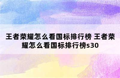 王者荣耀怎么看国标排行榜 王者荣耀怎么看国标排行榜s30